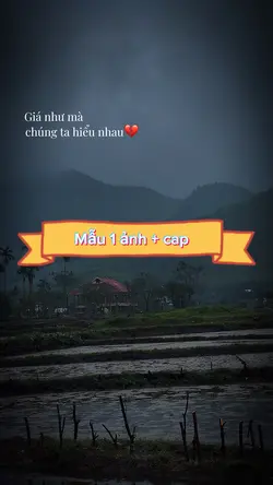 Mẫu 1 ảnh + cap