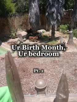 Ur month, ur bedroom