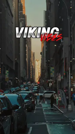 VIKING VIBES