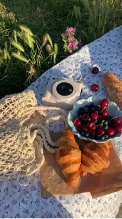 Picnic aesthetic 