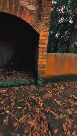 Horror 1video