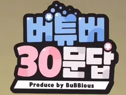 버튜버 30문답!
