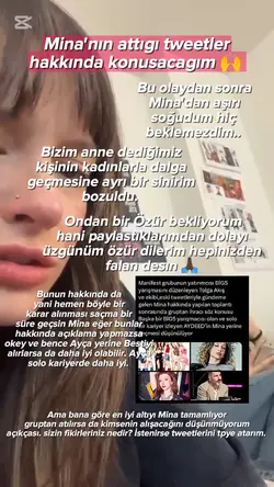 Mina Tweet olayı 