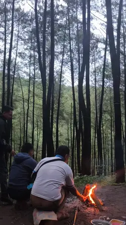 trend tiktok