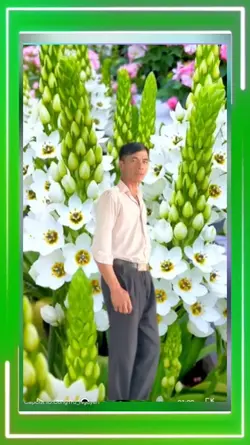 xuân thành 