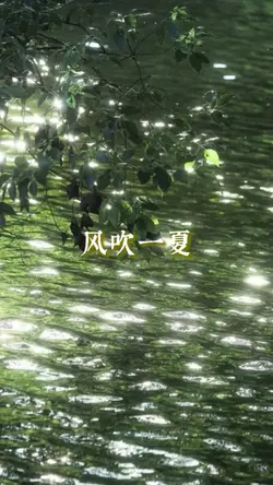 风吹一夏.