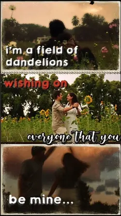 Dandelion 