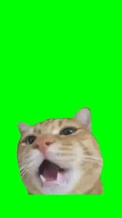 Cat Talking memes