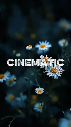 cinematic 3 video