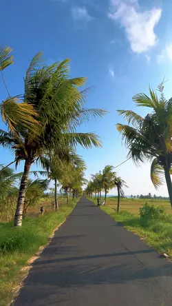 Vlog 1 menit