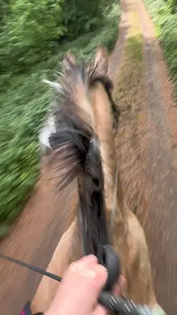 slowmo😛😛