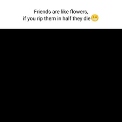 facts 