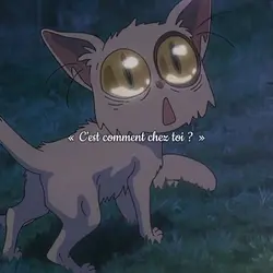 C’EST LA GUERRE 