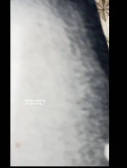 1 video