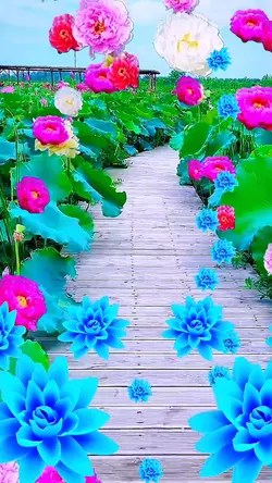 Flowers fluttering