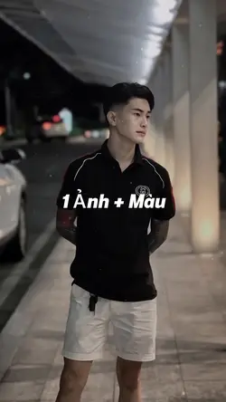 Trình chiếu 