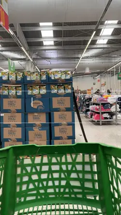 Vlog 
