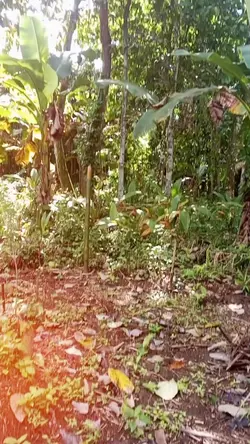 Nature Love