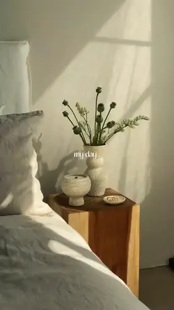 mini vlog " my day "