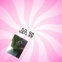 niewiem
