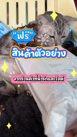 สินค้าตัวอย่าง