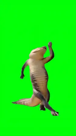 CROCODILE DANCE