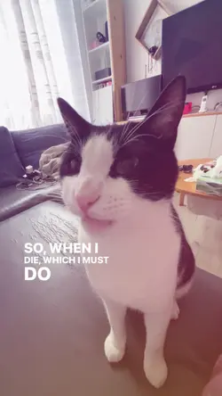 MOOON