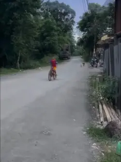 nhưng ngôi sao trên