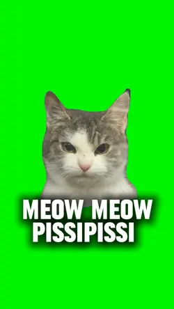 Meow Meow PissiPissi
