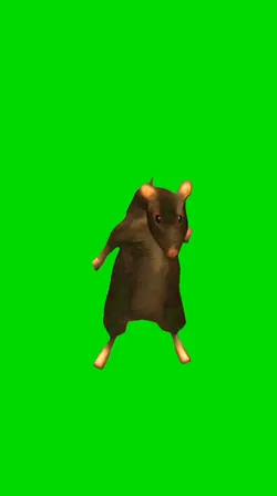 Rat dancing 