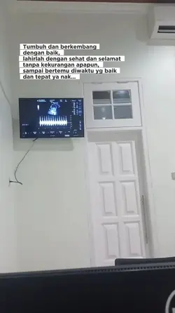 Kehamilan