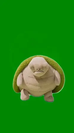 Turtle 