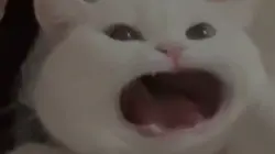 천천국지옥국