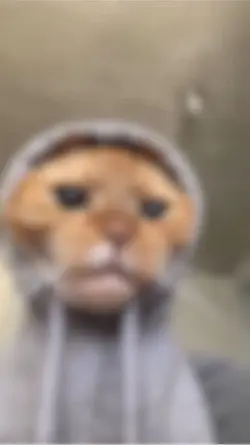 Meow