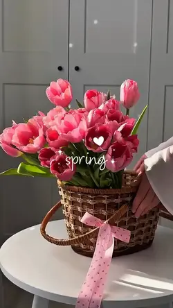 Spring Day