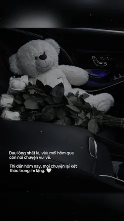 Cap1ảnh