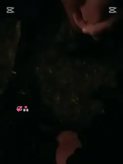tata ti amo
