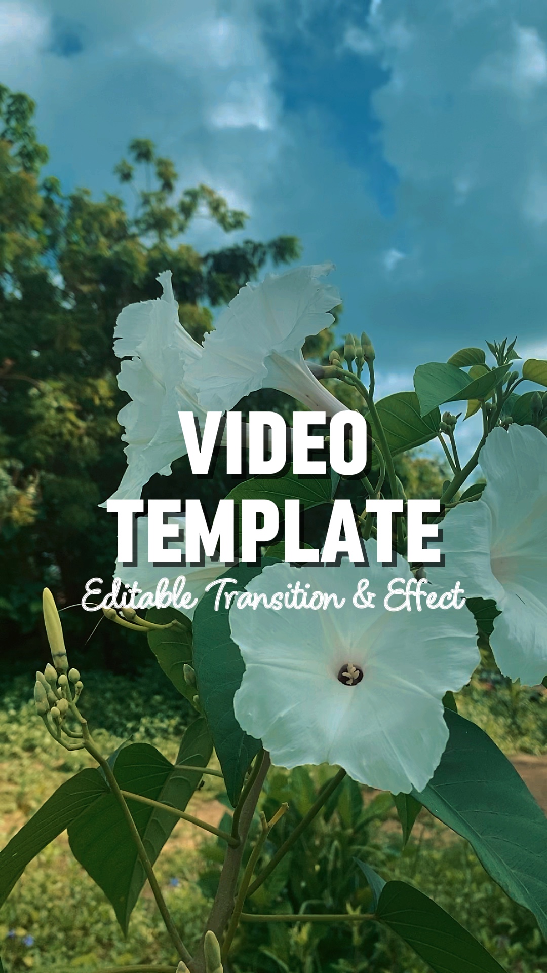 capcut template cover