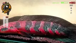 albi ya albi
