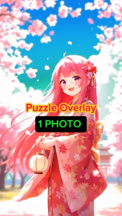 Puzzle Overlay