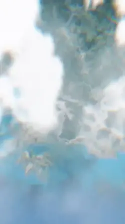Trend Google Earth 