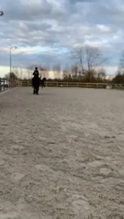 Horse riding