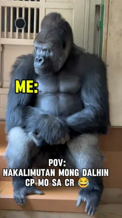 funny memes