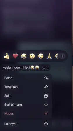 yaelah duo ini lagi
