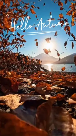 hello autumn