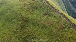 Cinematic
