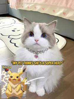 My Cat As Pikachu