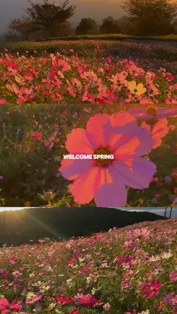 welcome spring