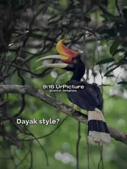Dayak Style?