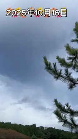 今日の天気